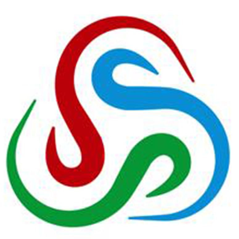 SSSPlacement Consultants