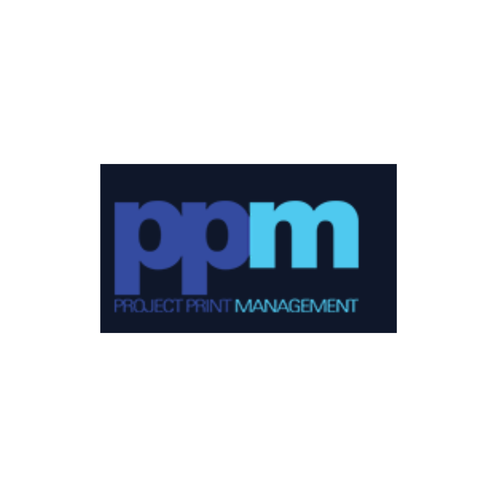 Project Management