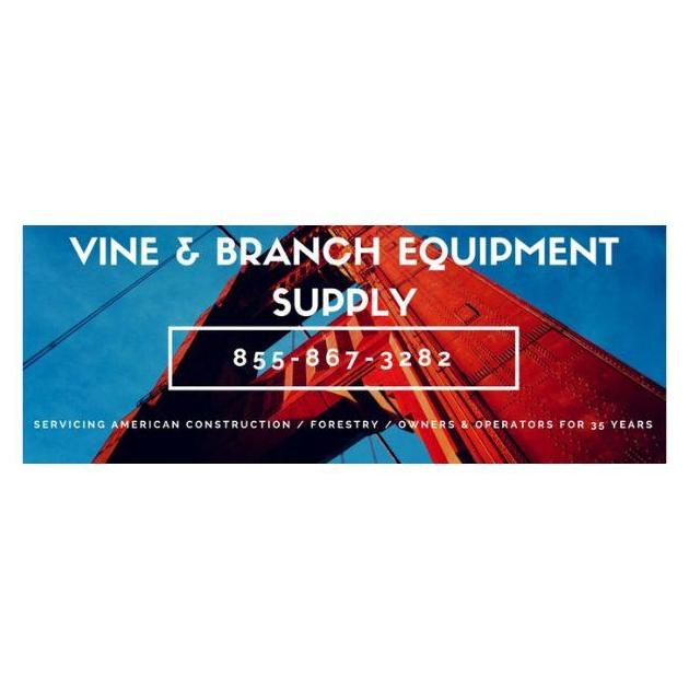 Vine And  Branch