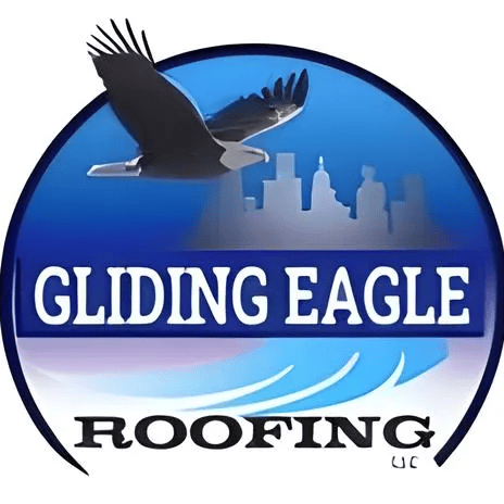 Gliding Eagle