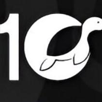 10turtle Global