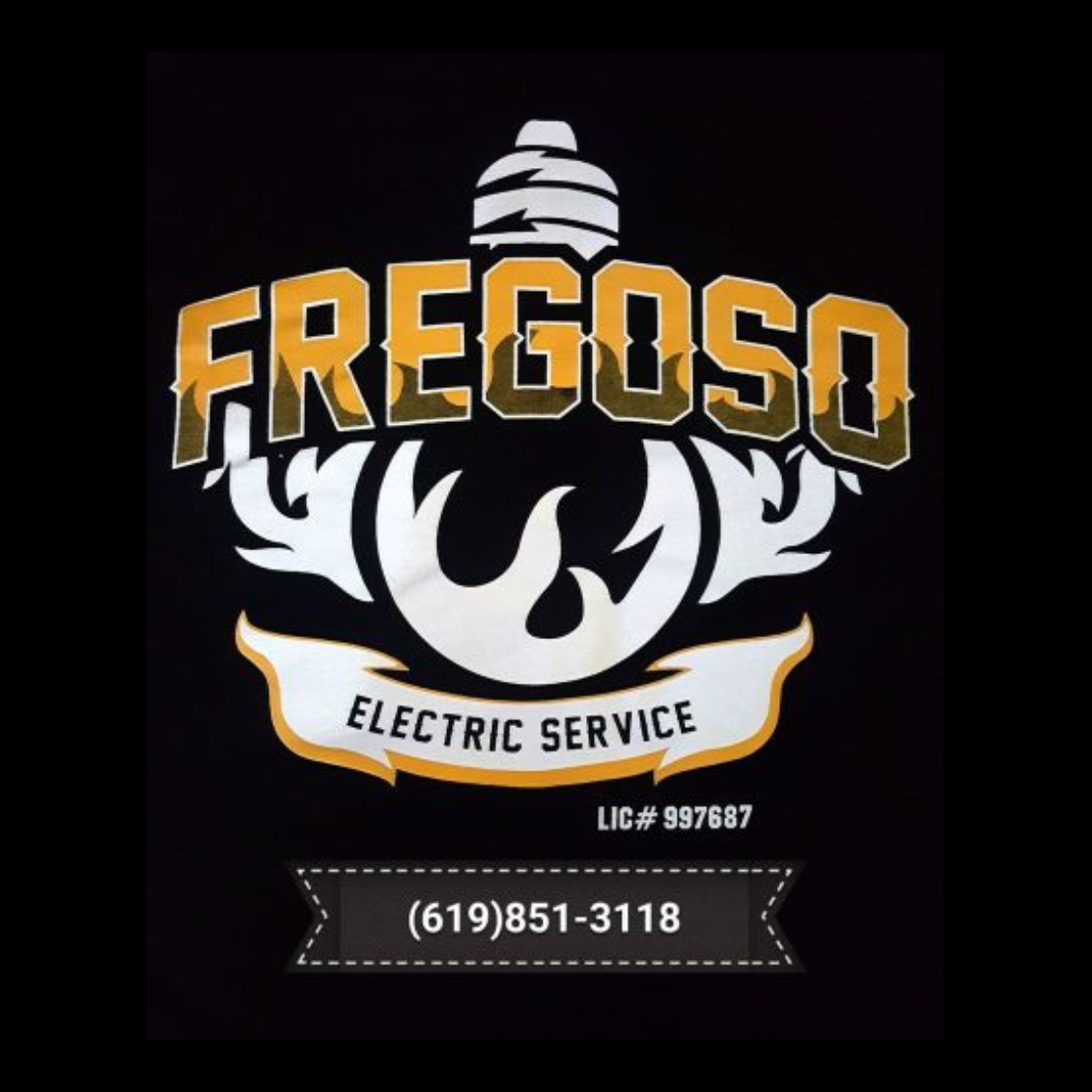 Fregoso Electric